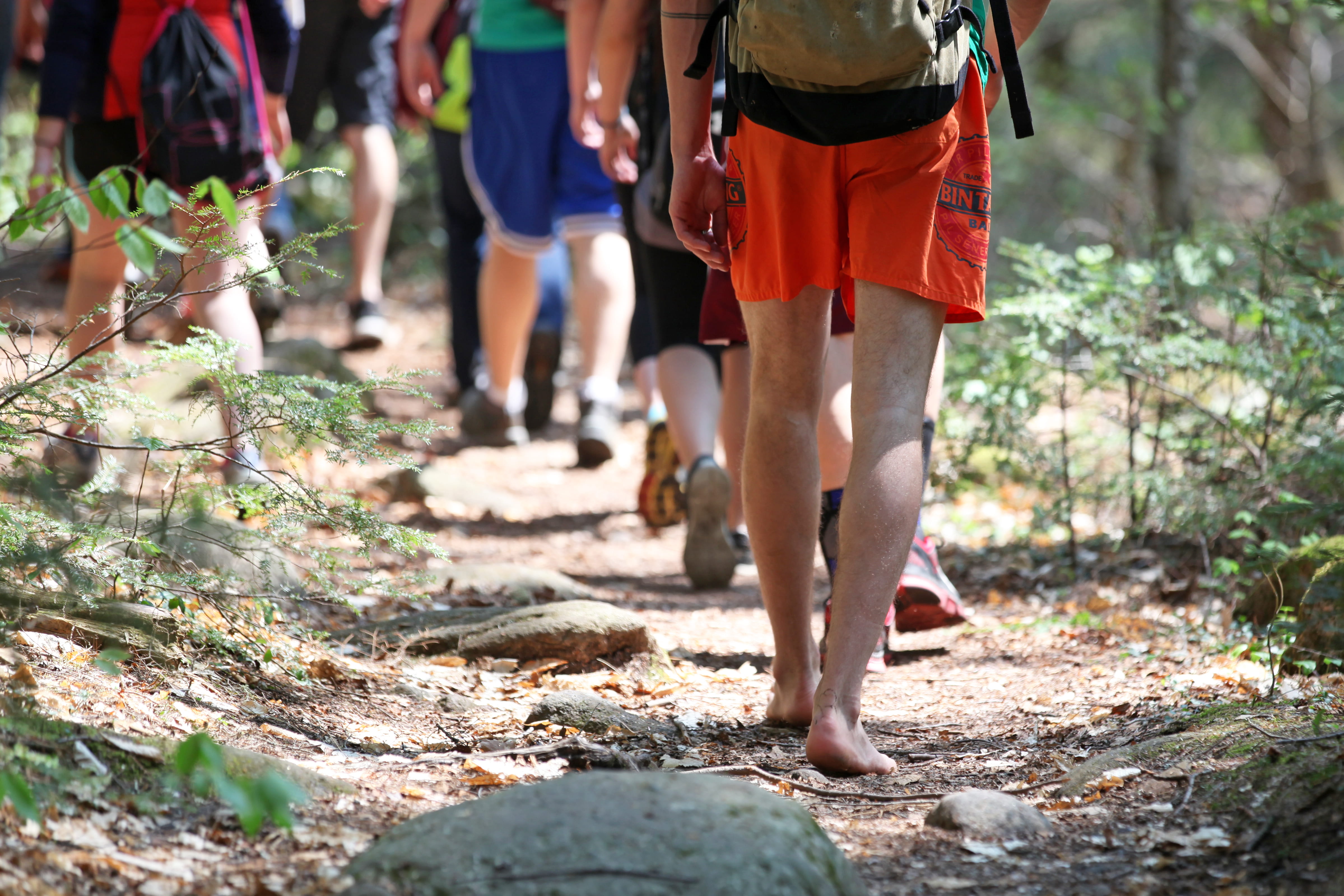 Students hiking along a trail
