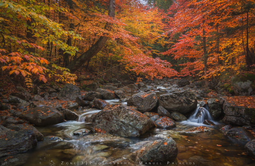 photograph of a creek in fall