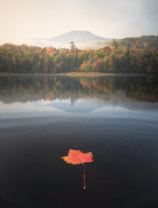Falling Around at Franklin Falls Pond, photograph of a leaf floating on the pond with mountains in the distance