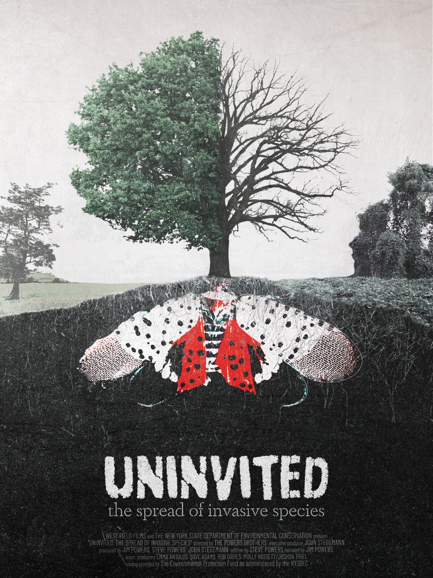 poster advertising the Uninvited documentary
