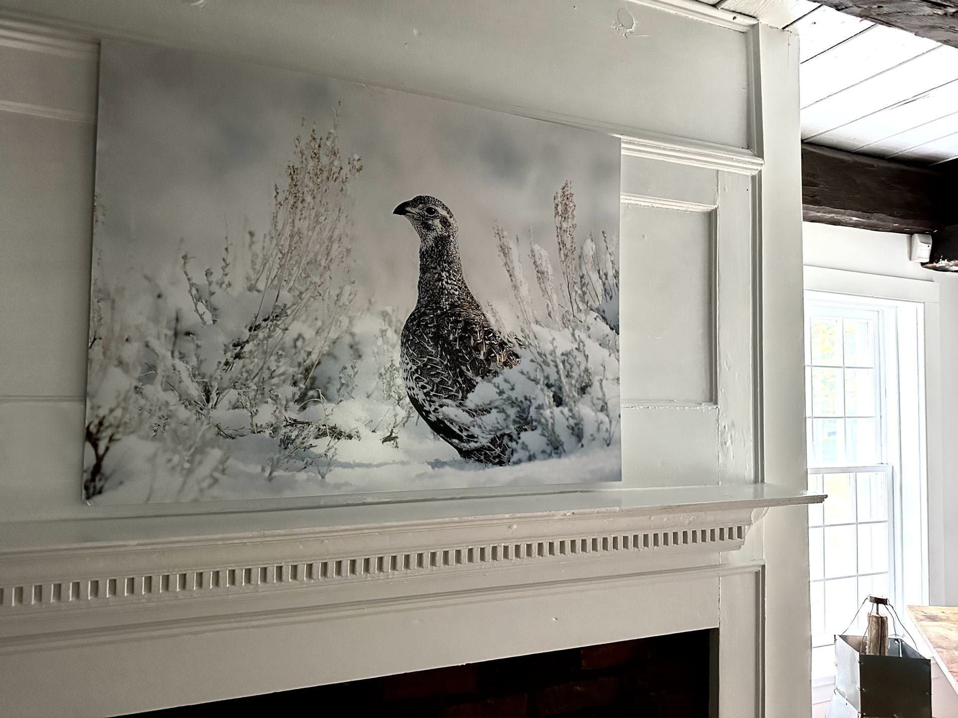photograph of one of the prints, a grouse, over a fireplace at the Kelly Adirondack Center