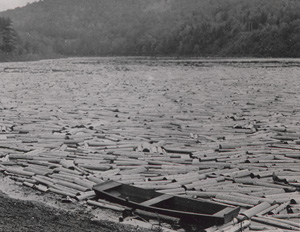 Pulpwood logs almost completely covering the surface of the Hudson River as they float near Lake Luzerne, NY. An empty boat is hemmed in by the logs along the shore, May 24, 1931. 