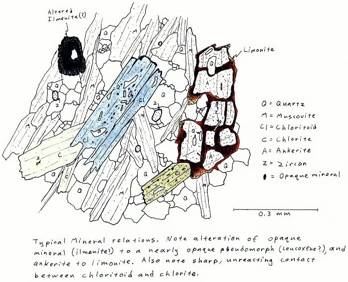 Typical mineral relations. Note alteration of opaque mineral (ilmenite) to a nearly opaque pseudomorph (leucoxene?), and ankerite to limonite. Also note sharp, unreacting contact between chloritoid and chlorite.