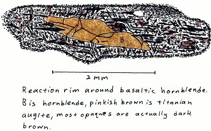 Dehydration reaction rim around basaltic hornblende. B is hornblende, pinkish-brown is titanian augite, most opaques are actually dark-blown.