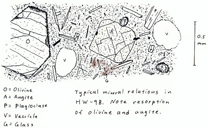 Typical mineral relations. Note minor resorption of olivine and augite.