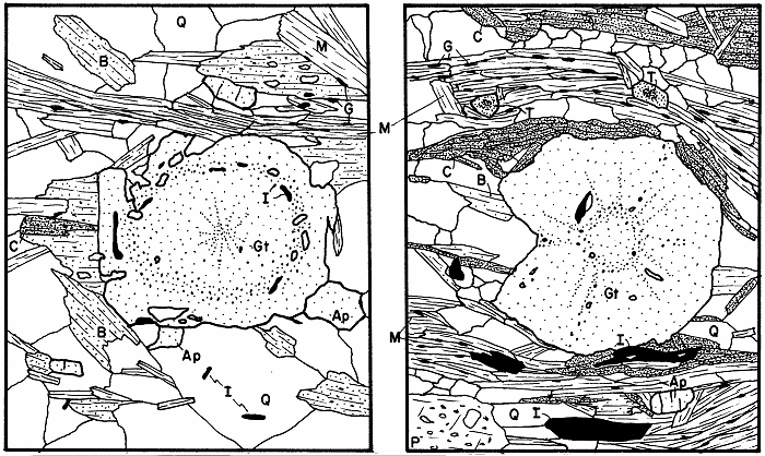 Drawings of garnets from various samples. The sequence from a to d shows the concentric manner of garnet alteration. These are pictures a and b.