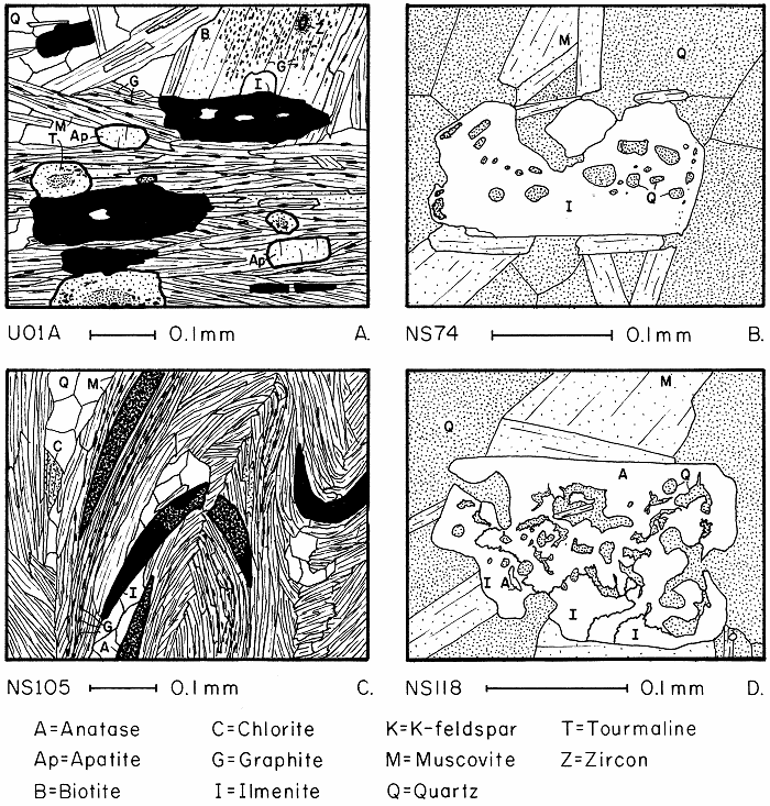 Drawings of ilmenite in thin section. a) Large, thick ilmenite plates of prograde origin, parallel to the foliation. Note quartz inclusions. b) Drawing of ilmenite in reflected light, showing the abundant rounded quartz inclusions. c) Large, thin, tapered ilmenite plates of prograde origin. Ilmenite is partially altered to anatase, and is severely deformed in crenulation folds. d) Small ilmenite plates of retrograde origin. precipitated from titanium released from altering biotite. Also present is a large grain of prograde origin.