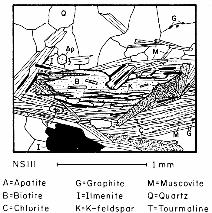 Biotite in an early stage of replacment by muscovite and chlorite. Note the ilmenite platelets, probably derived from titanium released from biotite. This example contains K-feldspar lenses within the biotite.