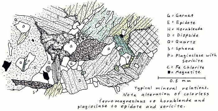 Typical mineral relations. Note alteration of colorless ferromagnesian minerals to hornblende, and plagioclase to epidote and sericite.