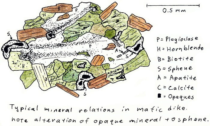 Typical mineral relations in the mafic dike. Note alteration of opaque mineral to sphene.