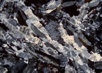 Perthite crystals in a sodalite-nepheline syenite dike, Salem, Massachusetts