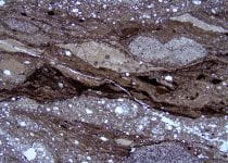 Dunnage melange, Newfoundland, showing deformed siltstone and shale.