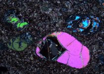 Partly serpentinized olivine in kimberlite, surrounded by a mostly serpentine-carbonate matrix.