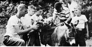Image: Wawayanda kids with Jed the Donkey