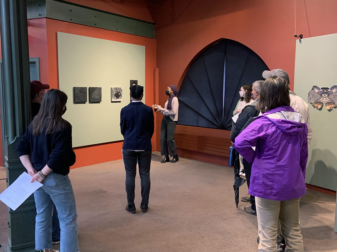 HOMECOMING WEEKEND: Student Docent Talks @ Mandeville Gallery, October ...