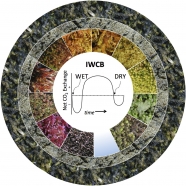 Integrated Water-driven Carbon Balance Model and Bryophyte Color Wheel