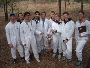 While performing a fire risk assessment in the Albany Pine Bush Preserve, students discover a deer skull.