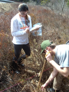 Students collecting plants to explore relationship between water availability and plant growth using stable carbon isotopes.